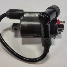 Kohler 24-519-02-S Ignition Coil Genuine Original Equipment Manufacturer (OEM) Part