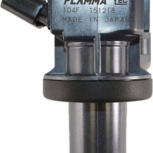 YEC Flamma IGC104F - Ignition Coil