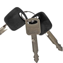 Dorman 989-713 Ignition Lock Cylinder for Select Ford Models, Silver (OE FIX)