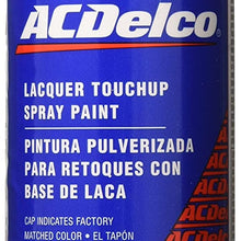 ACDelco 19354940 Black (WA8555) Touch-Up Paint - 5 oz Spray