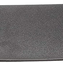 Dorman 923-076 Third Brake Light Assembly for Select Ford Models