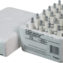 Champion Copper Plus Small Engine 938S Spark Plug (Carton of 24)