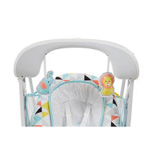 Fisher-Price Deluxe Take-along Swing & Seat