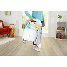 Fisher-Price Deluxe Take-along Swing & Seat