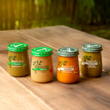 (10 Pack) Beech-Nut Organics Stage 1, Pumpkin Baby Food, 4 oz Jar