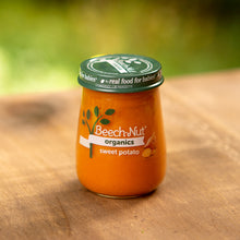 (10 Pack) Beech-Nut Organics Stage 1, Sweet Potato Baby Food, 4 oz Jar
