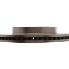 Disc Brake Rotor-R-Line Front Raybestos 982491R