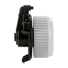 HVAC Blower Motor Front TYC 700249
