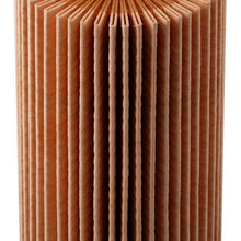 Engine Oil Filter Pronto PO5702EX