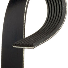 Serpentine Belt Gates K070407A