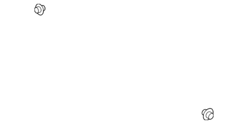 Genuine Door Shell Plug Qty of 1 90950-01956