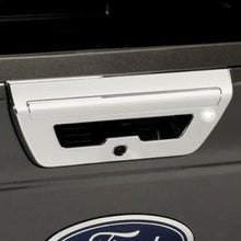 DH58312 2Pc Plastic Tailgate Handle Cover Fits Ford F-150 2018-2020 2-door, 4Dr