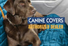 For Nissan Rogue 14-20 Canine Covers Polycotton Rear Row Wet Sand Seat Protector