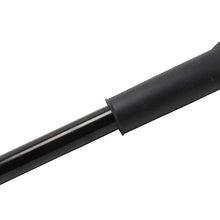 GM Original Equipment 39040201 Rear Shock Absorber with Bumper, Upper Mount, and Nut