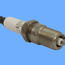 8 Spark Plugs FORD MOTORCRAFT SP405 & Coils REPLACE OEM # AGSF22FM1 DG508