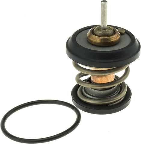 707-203 Thermostat