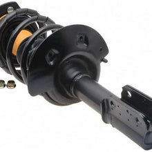 Professional 903-012RS Ready Strut Premium Gas Charged Front Suspension Strut and Coil Spring Assembly