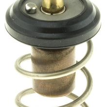 Motorad  Thermostat Insert