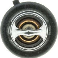 699-180 Thermostat