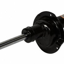 Motorcraft AST-889 Front Strut Assembly
