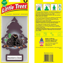 LITTLE TREES Air Fresheners Car Air Freshener. Hanging Tree Provides Long Lasting Scent for Auto or Home. Black Ice, 24 Air Fresheners