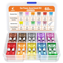 JOREST 300Pcs Car Fuse Assortment Kit, 160 Mini Blade Fuses Automotive + 90 Standard Auto Fuses + 50 Micro + Puller – Replacement for RV Camper Boat Truck (2Amp 3A 5A 7.5A 10A 15A 20A 25A 30A 35A 40A)