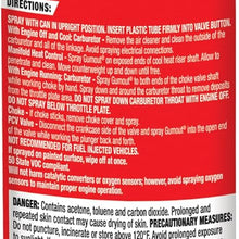 Gumout 800002231 Carb and Choke Cleaner Jet Spray - 14 oz.