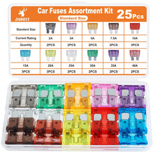 JOREST 300Pcs Car Fuse Assortment Kit, 160 Mini Blade Fuses Automotive + 90 Standard Auto Fuses + 50 Micro + Puller – Replacement for RV Camper Boat Truck (2Amp 3A 5A 7.5A 10A 15A 20A 25A 30A 35A 40A)