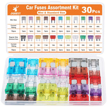 JOREST 300Pcs Car Fuse Assortment Kit, 160 Mini Blade Fuses Automotive + 90 Standard Auto Fuses + 50 Micro + Puller – Replacement for RV Camper Boat Truck (2Amp 3A 5A 7.5A 10A 15A 20A 25A 30A 35A 40A)