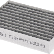 CF11279 Battery Compartment Filter