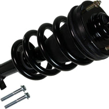 Professional 903-040RS Ready Strut Premium Gas Charged Front Suspension Strut and Coil Spring Assembly