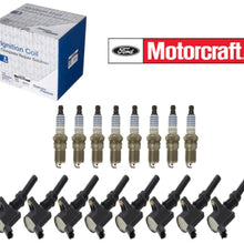 Set 8 FORD Spark Plugs Motorcraft SP493 & Coils OEM # AGSF32PM DG508 4.6 V8
