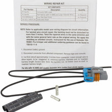 Motorcraft - Wire Asy (P) (WPT1384)