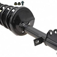 Professional 903-029RS Ready Strut Premium Gas Charged Rear Driver Side Strut and Coil Spring Assembly