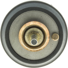 707-203 Thermostat