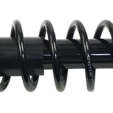 Professional 903-048RS Ready Strut Premium Gas Charged Rear Driver Side Strut and Coil Spring Assembly