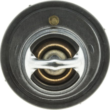737-180 Thermostat with Seal