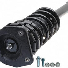 Professional 903-014RS Ready Strut Premium Gas Charged Rear Suspension Strut and Coil Spring Assembly