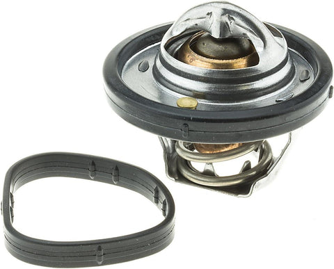 737-180 Thermostat with Seal