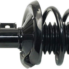 Professional 903-041RS Ready Strut Premium Gas Charged Front Passenger Side Strut and Coil Spring Assembly