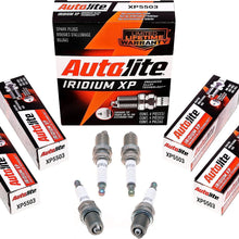 Iridium XP Automotive Replacement Spark Plugs, XP5503 (4 Pack)