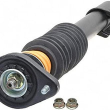 Professional 903-003RS Ready Strut Premium Gas Charged Rear Suspension Strut and Coil Spring Assembly