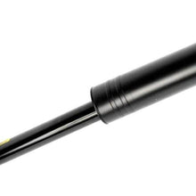 GM Original Equipment 13409599 Rear Shock Absorber with Upper Mount