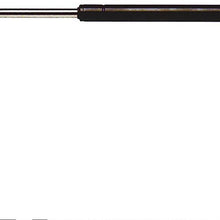 Professional 510-347 Hood Lift Support