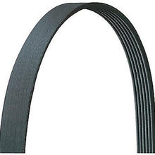Serpentine Belt for Journey, Compass, Patriot, 200, Avenger+More 5061015DR
