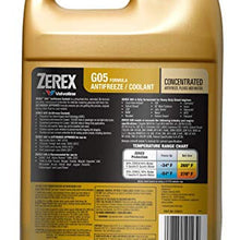 ZEREX Antifreeze Coolant,1 gal.,Concentrated ZXG051