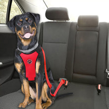 Pet Car Harness and Seatbelt Clip Lead Safety Dogs Out Travel