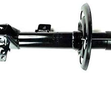 FCS 331789R Suspension Strut