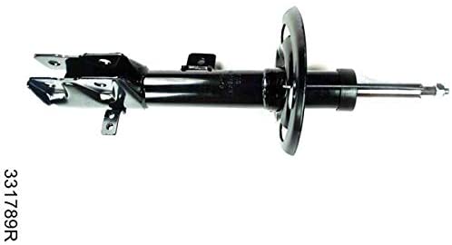 FCS 331789R Suspension Strut