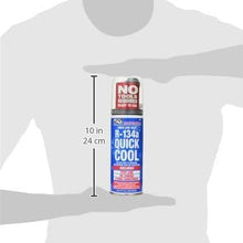 InterDynamics 306 Certified A/C Pro R-134a with Quick Cool (14 Ounces)